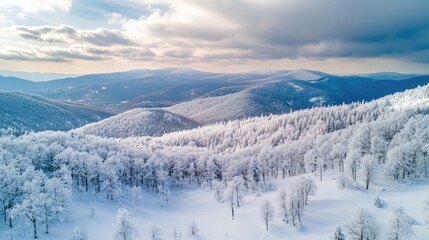 Aerial Landscape of Majestic Snow-Covered Mountains and Frosty Forests Under Dramatic Skies in Winter