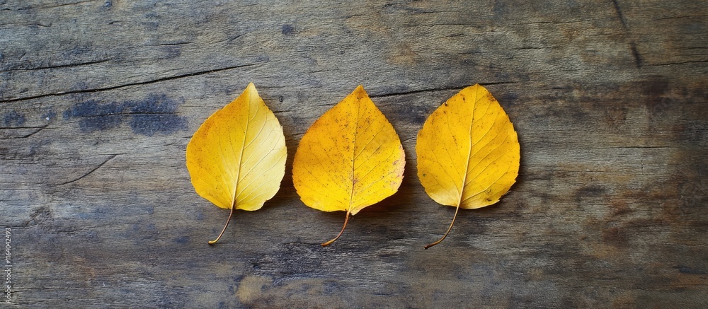 Poster yellow autumn leaves arranged on a rustic wooden surface creating a peaceful atmosphere with ample c