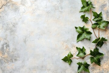 A simple ivy border framing a blank page, perfect for invitations or stationery