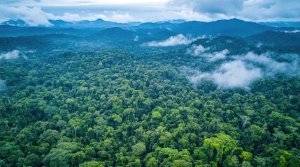 Fototapeta premium Aerial Perspective of Lush Green Forest Cover with Dramatic Mountain Backdrop and Cloudy Skies