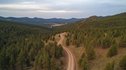 Scenic aerial view of winding dirt road through lush pine forest landscape with rolling hills under a cloudy sky