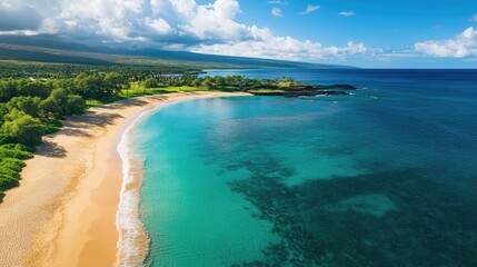 Aerial view of serene sandy beach with turquoise waters and curved shoreline under a bright blue sky and soft cloud shadows