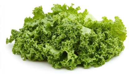 Fototapeta premium Fresh green lettuce leaves ideal for salads wraps and grilling showcasing versatility in culinary applications and healthy eating options