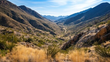 Naklejka premium Desert canyon landscape with rugged mountains and lush vegetation under a clear blue sky in a serene natural setting