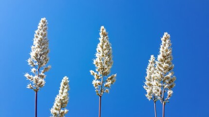 Wildflower plants basking in sunlight under a clear blue sky showcasing vibrant colors and natural beauty in a serene landscape.