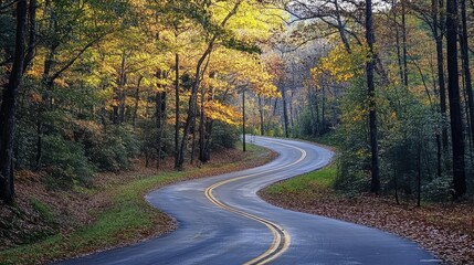 Fototapeta premium Serene winding road through a colorful forest with autumn foliage and soft sunlight filtering through the trees