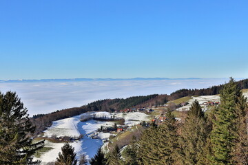Blick vom Geiersnest Richtung Vogesen