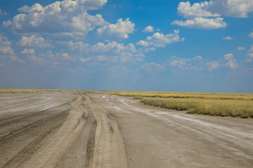 Endless and sandy country road in Namibia's beautiful desert landscape. Salt pan in Etosha National Park. Namibia, Africa