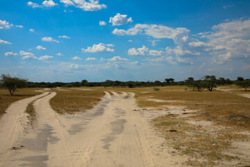 Sandy gravel road through the desert in the beautiful Kalahari National Park. Tourism and vacation concept. Namibia, Africa.