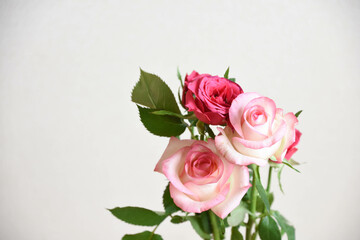 Fototapeta premium ピンクの花束