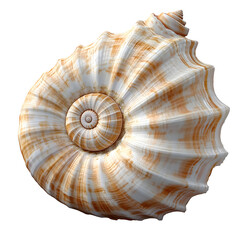 Obraz premium seashell isolated on transparent background generative ai