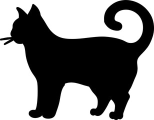 silhouette of a cat in black on transparent background