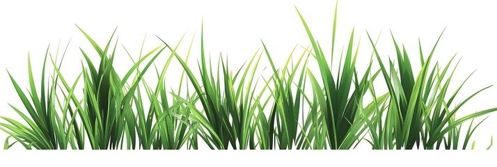Green grass on a white background, earth day concept