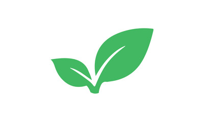 green plant isolated on white background