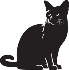black cat