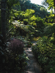 La Mortella Garden