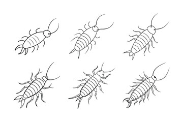 Silverfish (Lepisma saccharina) insect silhouette design, labeled line art vector illustration.