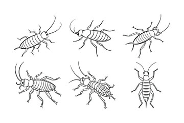 Earwig (Dermaptera) insect silhouette design, labeled line art vector illustration.