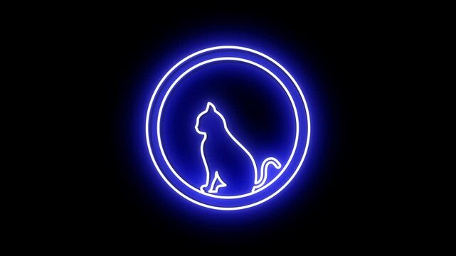 A pink cat in a light up panel on a black background - animation