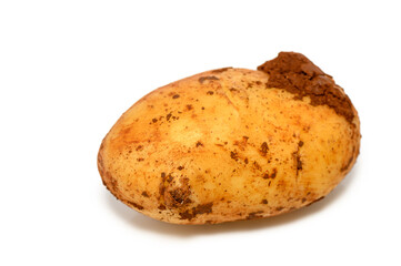 Unique russet potato showcasing natural imperfections in a bright setting