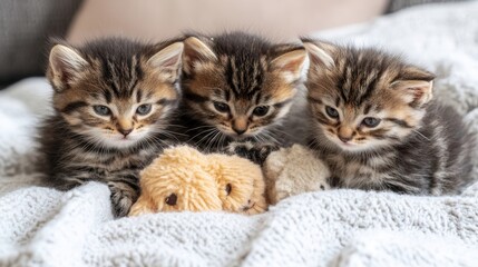Three Kittens Playing with Plush Toys on Cozy Bed