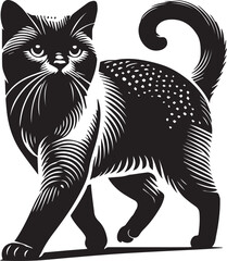 Obraz premium black and white cat