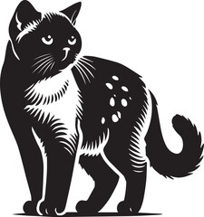 Obraz premium black and white cat
