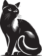 Obraz premium black and white cat