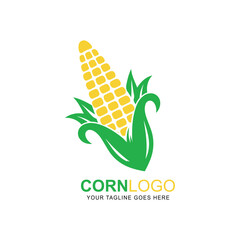 Corn farm logo template, corn vector icon. illustration vector of corn.