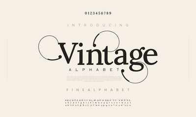 Luxury alphabet letters font. Typography elegant wedding classic lettering serif fonts decorative vintage retro concept. vector illustration

