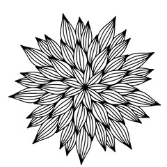 vector illustration mandala design