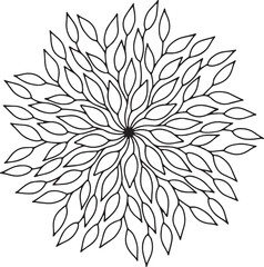 vector illustration mandala design