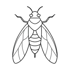 Cicada (Cicadidae) insect silhouette design, labeled line art vector illustration.