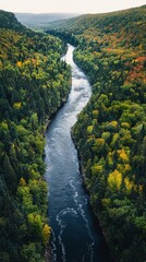 Fototapeta premium Majestic river flowing through lush forested valley during autumn season