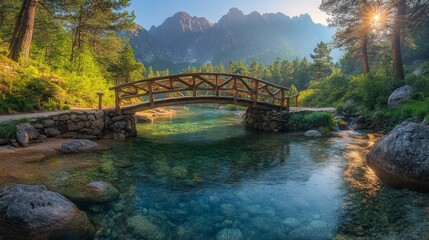 Fototapeta premium Scenic wooden bridge over a flowing stream in a lush forest setting during the day