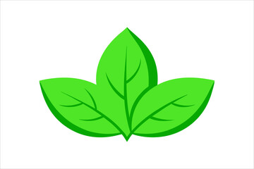 Obraz premium Leaves Icon - Vector Stock Illustration. Leaf Shapes Collection