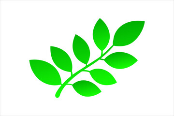 Leaves Icon - Vector Stock Illustration. Leaf Shapes Collection