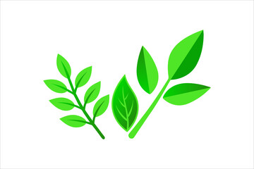 Leaves Icon - Vector Stock Illustration. Leaf Shapes Collection