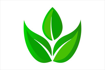 Leaves Icon - Vector Stock Illustration. Leaf Shapes Collection