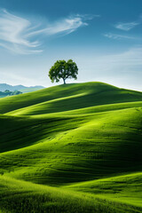 Majestic Solitude: A Tranquil Tree Stands Amidst Rolling Green Hills Under a Clear Blue Sky