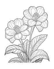 Explore creativity with bold floral designs for adult coloring relaxation and stress relief