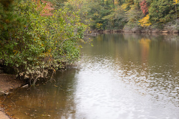 Fall leaves at a lake