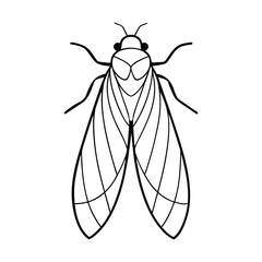 Leafhopper (Cicadellidae) insect silhouette design, labeled line art vector illustration.