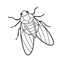 Leafhopper (Cicadellidae) insect silhouette design, labeled line art vector illustration.