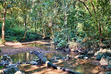 Mountain stream flowing through the tropical jungle in national park Tham Yai Nam Nao, province of Phetchabun, Thailand
