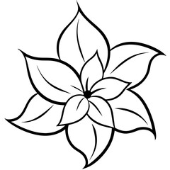 black and white flower