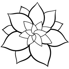 black and white flower