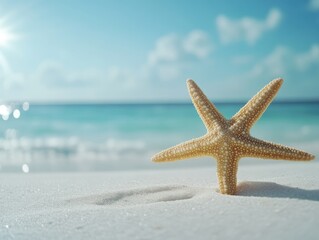 Starfish at the beach