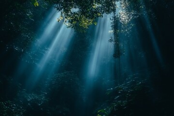 Sunbeams piercing through lush, dark forest canopy.