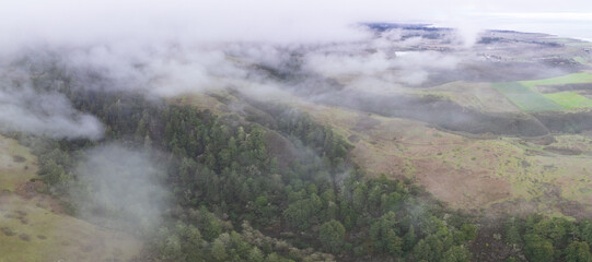 Low, misty clouds drift through the extensive forests of Santa Cruz, California. This beautiful...
